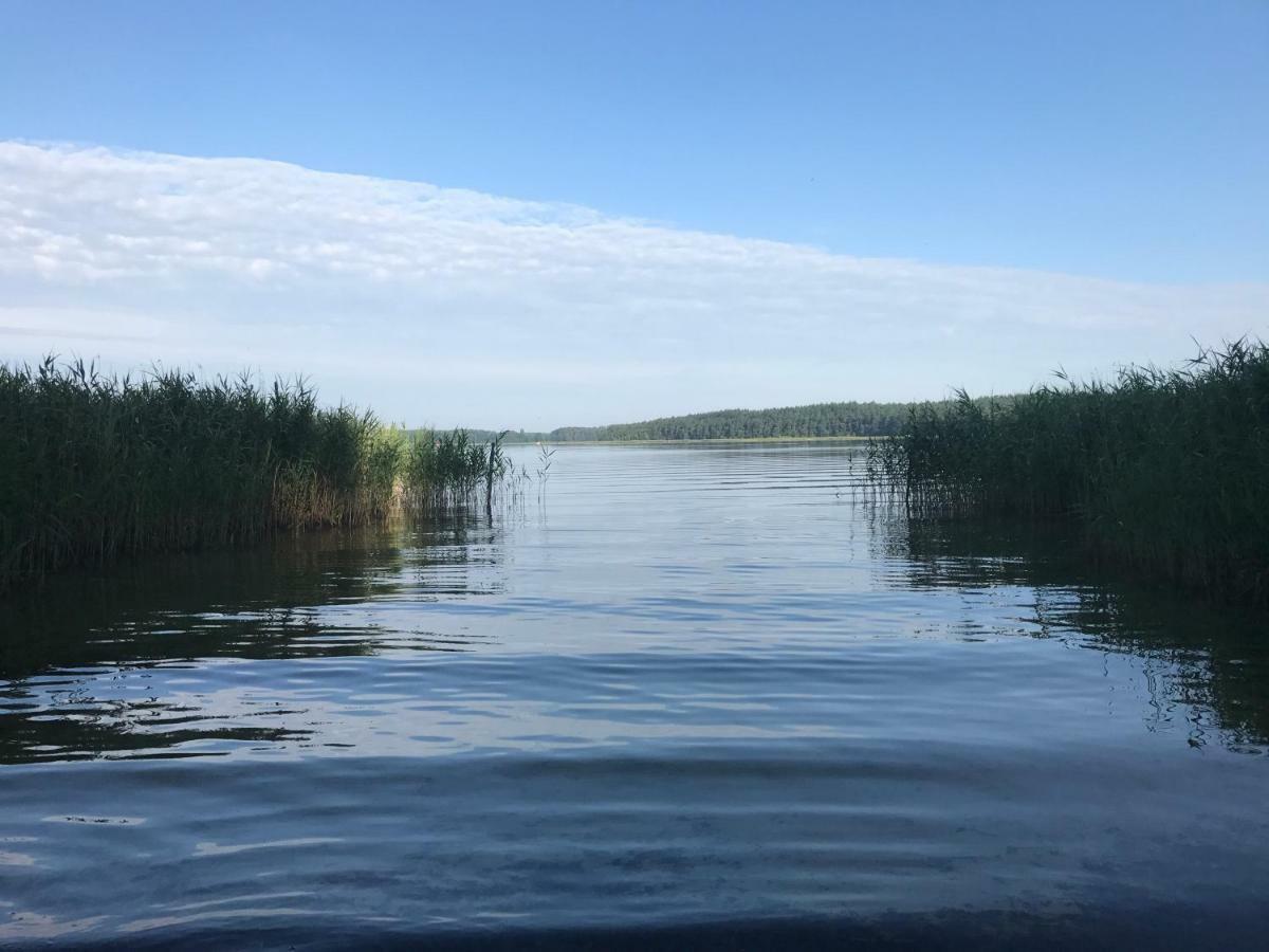Ferienhaus Im Fischersteig Wustrow  Εξωτερικό φωτογραφία